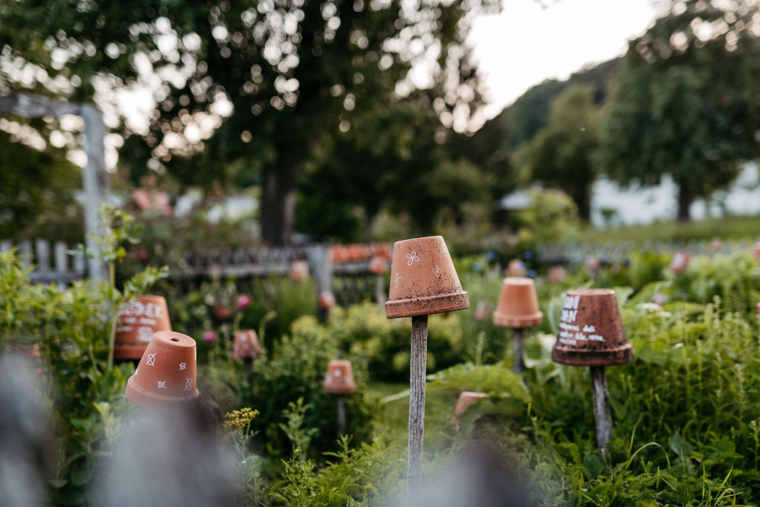 Rustic terracotta pots arranged artistically in a lush summer garden setting.