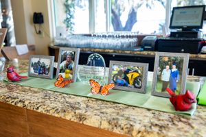Collection of framed photos and decorative butterflies displayed on granite countertop.