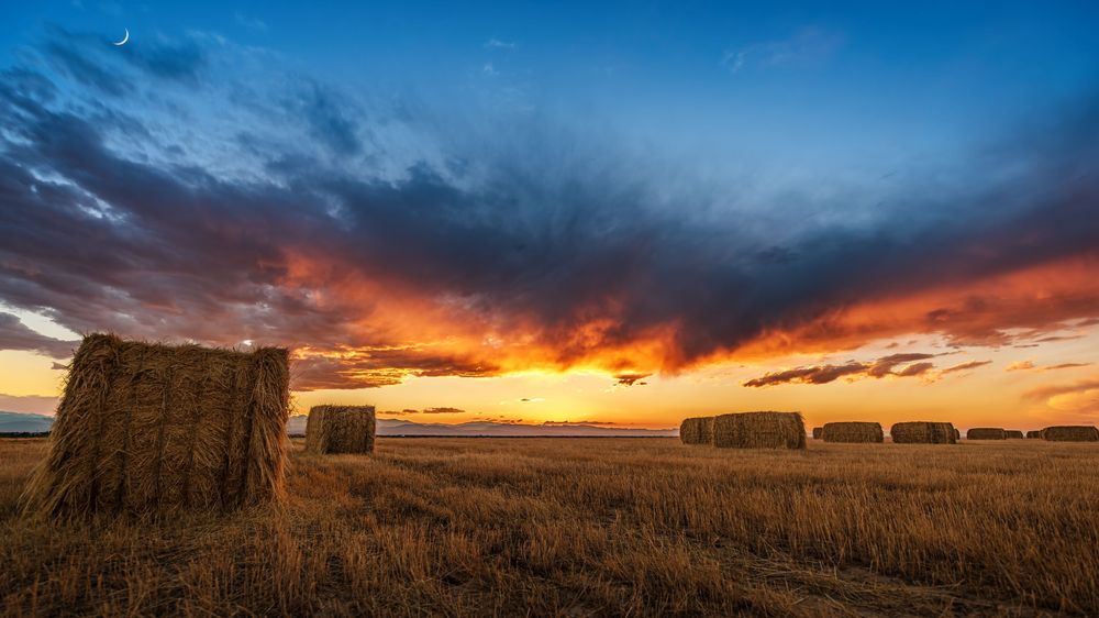 professional fine art rural life landscape photography