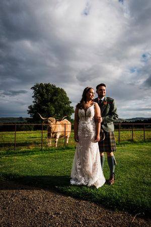 Bride and Groom posing in front of a highland cow at Errol Park in carse of gowrie, Perthshire