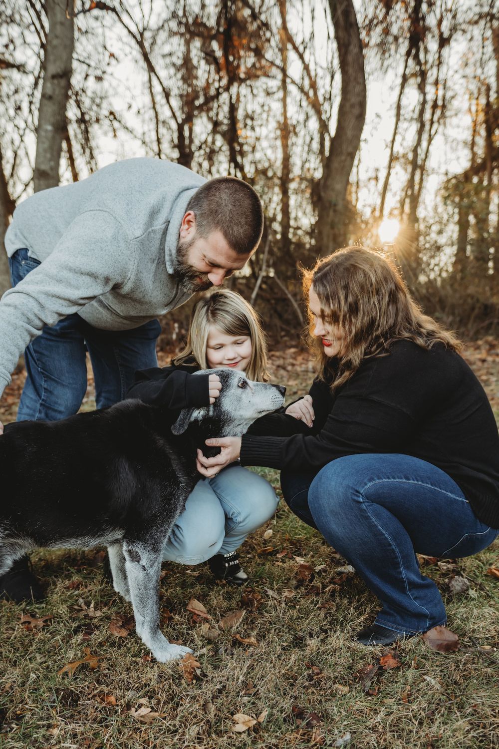A sequence of four connected photos shows a couple interacting with their gray cat outdoors during golden hour.