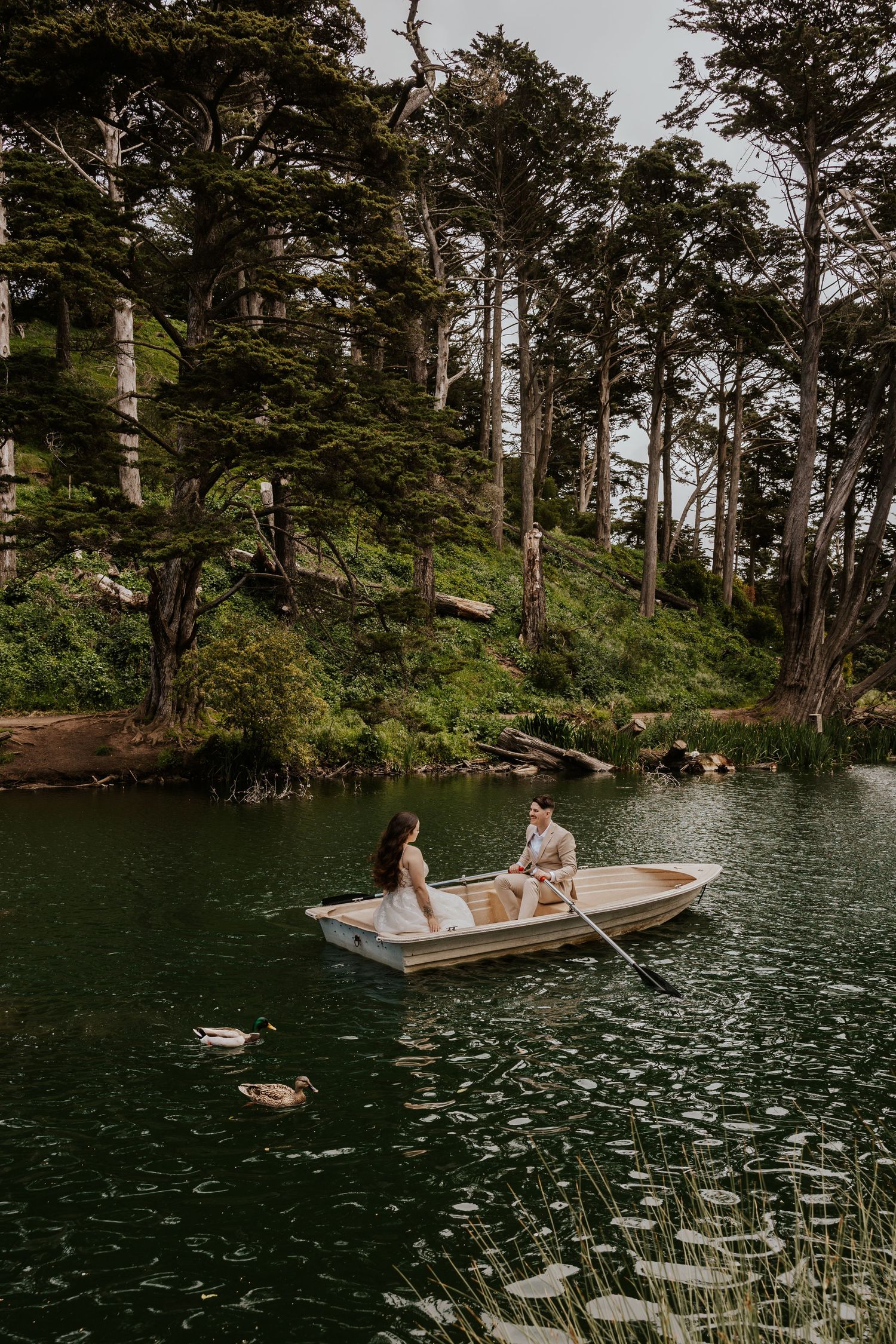 bride and groom in a row boat with two ducks following them at Stow Lake in Golden Gate Park on their San Francisco elopement day
