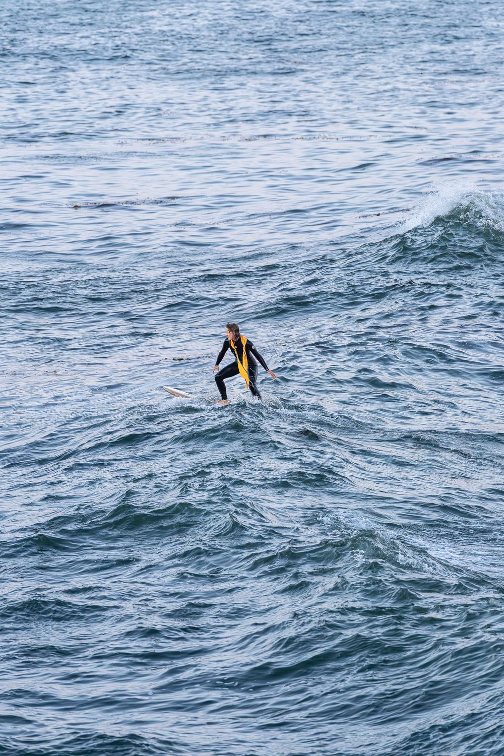 UCSC GRADUATION PHOTOGRAPHER
