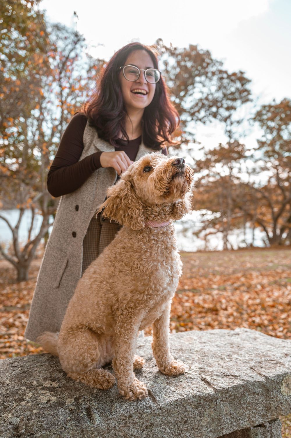 Person and goldendoodle dog posing together on rock surrounded by fall foliage.