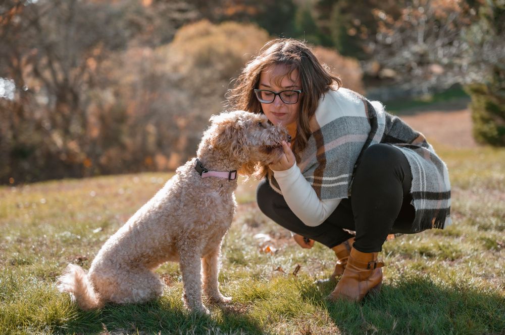 Person in plaid scarf kneeling next to goldendoodle dog in autumn park.
