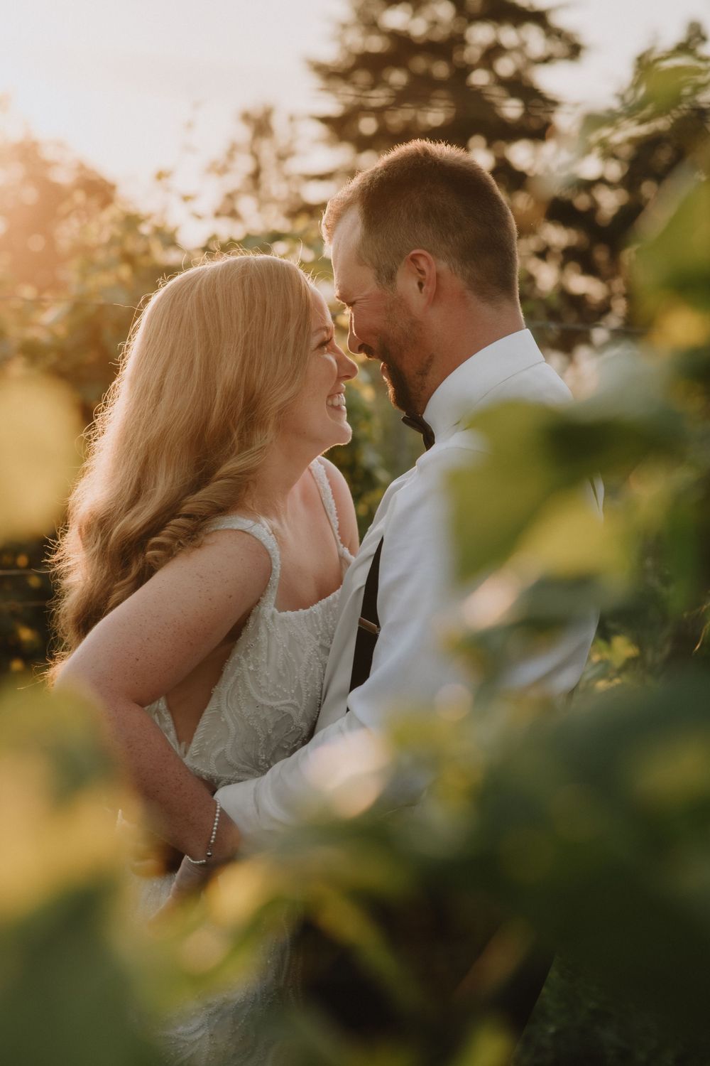 A romantic wedding couple shares an intimate moment at sunset surrounded by green vineyard.