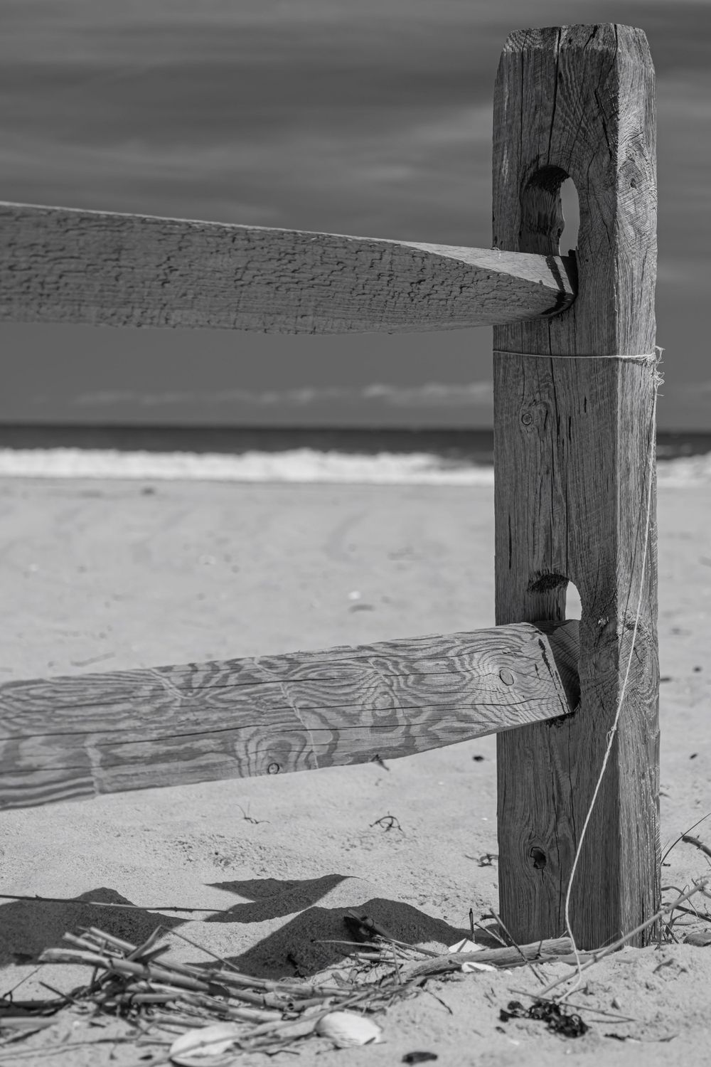 weathered fence on Island Beach State Park