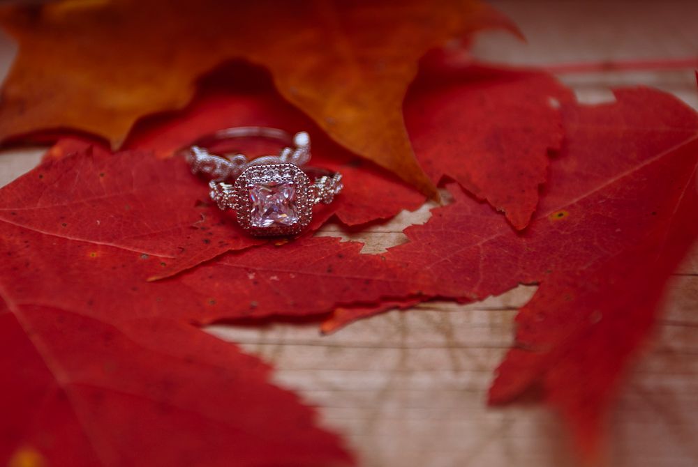 Photographie de bagues de mariage capturant le symbole de l’engagement et de l’amour, mise en valeur avec une approche artistique et raffiné