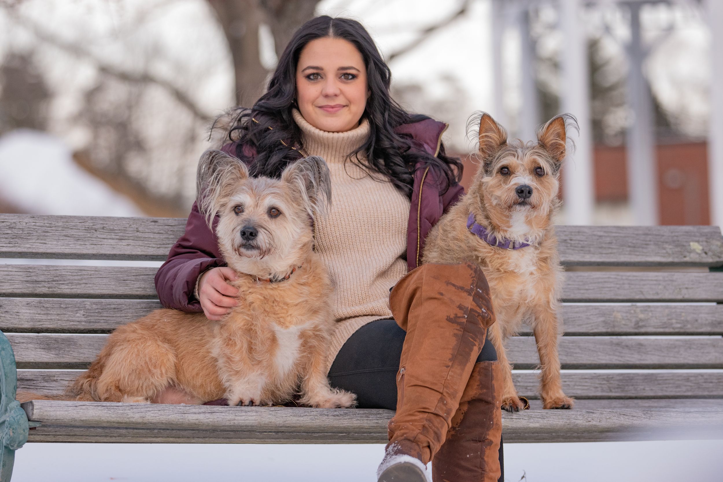 Smiling woman sitting on a park bench with two fluffy tan terrier dogs in winter. Pet Photo by Xenophon Photography in Maine.
