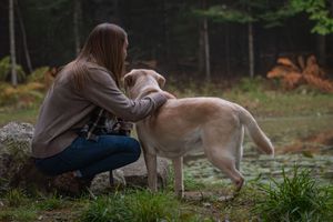 Young woman bonding with her yellow Labrador Retriever in a dark forest. Photo by Xenophon Photography in Maine.