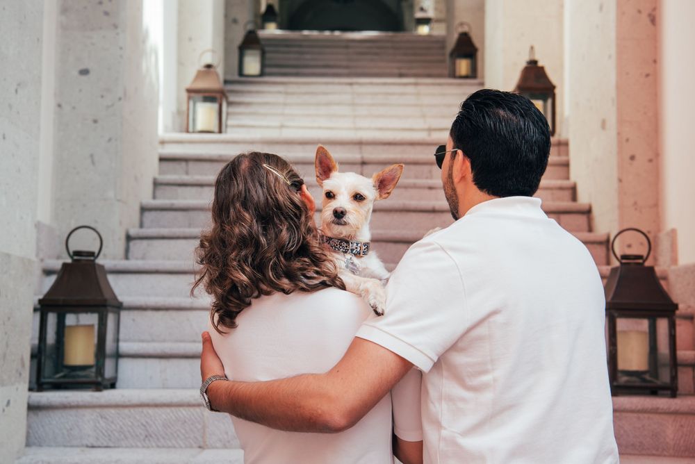 A couple in white outfits poses with their white dog in a romantic outdoor photoshoot setting.
