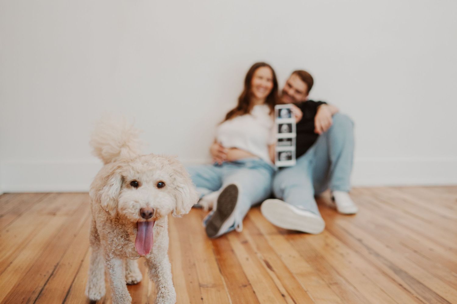 Pregnant couple sit in nursery smiling at one another with dog in background,