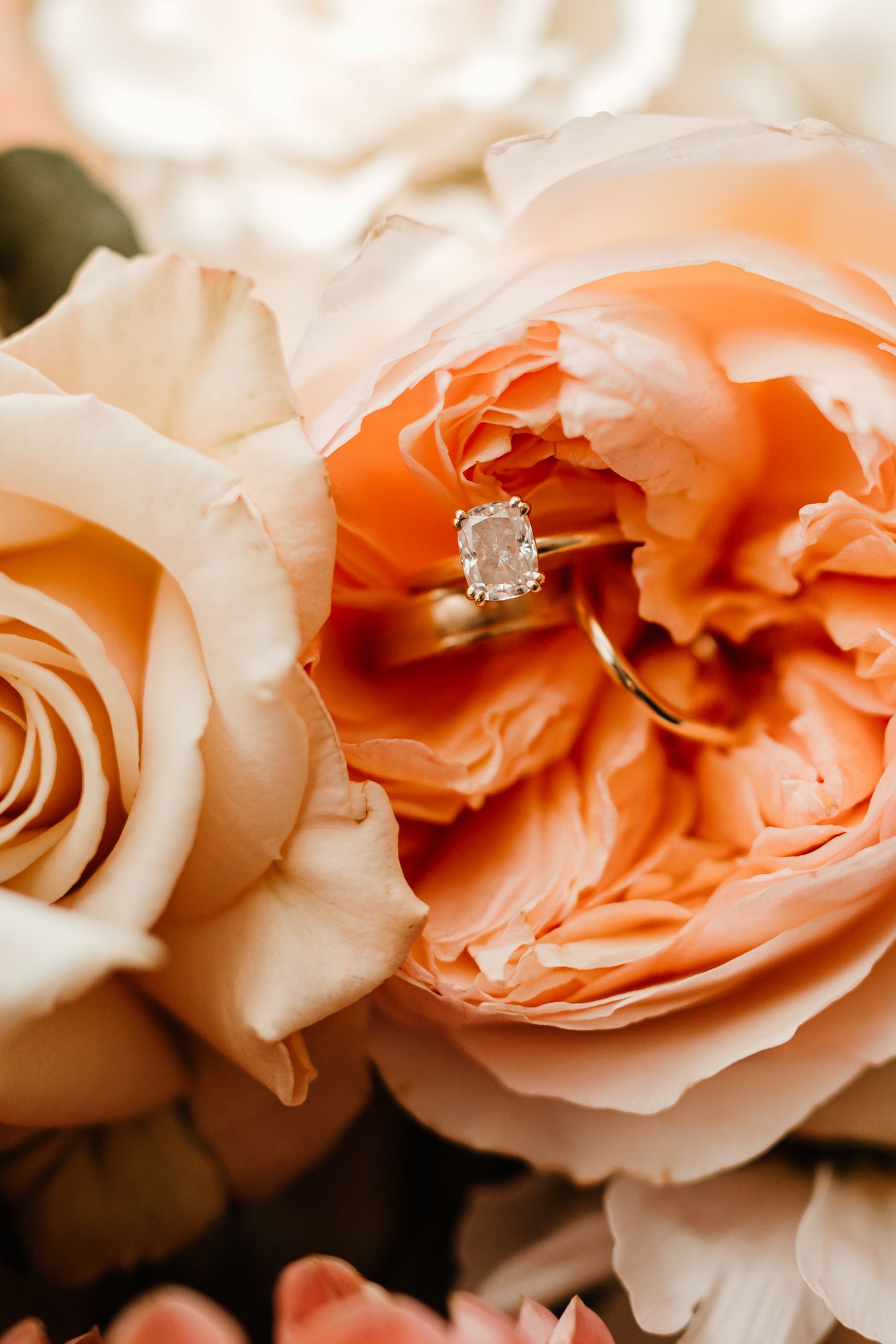 Colorado Wedding Photography