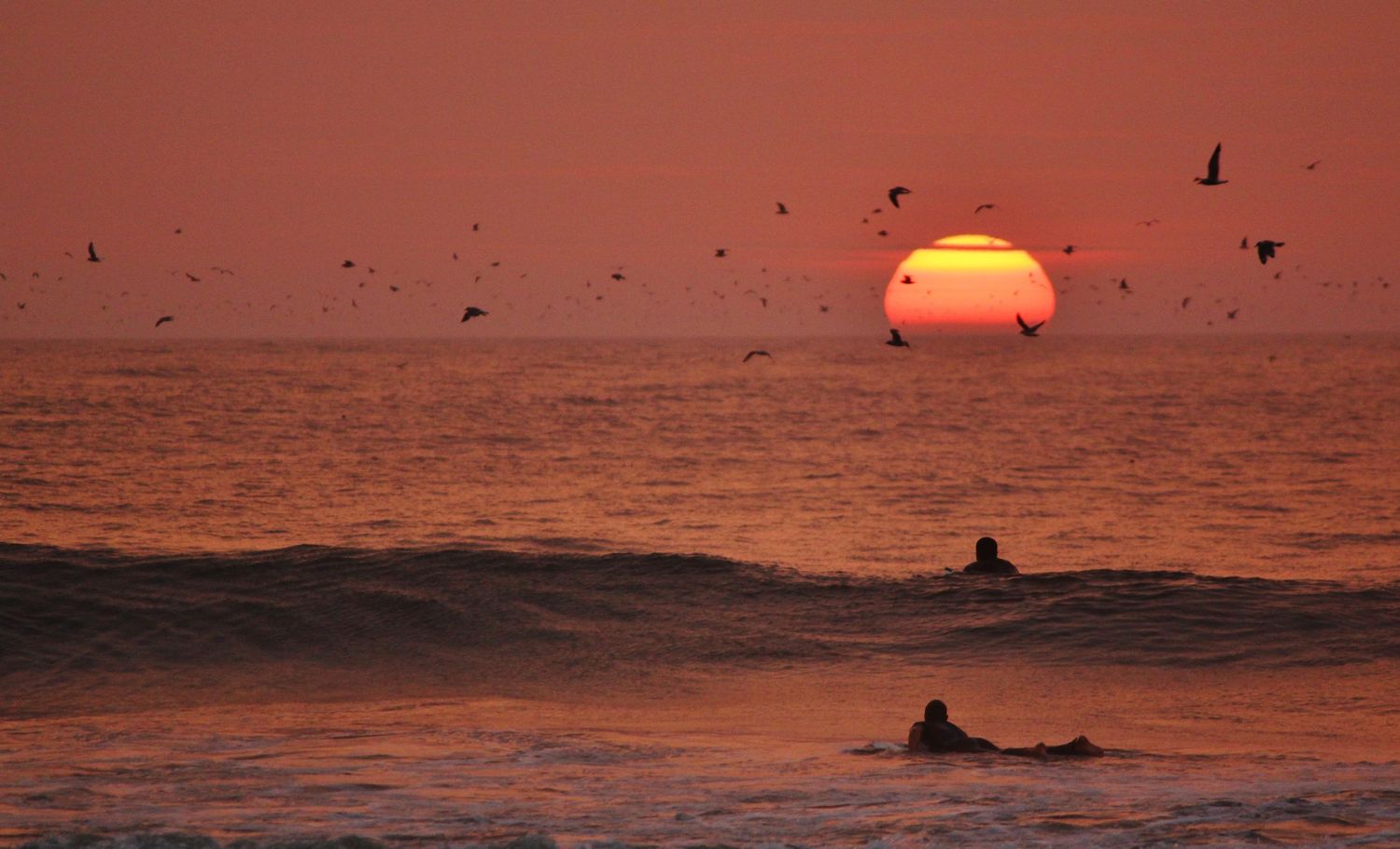 Two surfers in ocean waves at dramatic red sunset with birds flying around large sun on horizon.