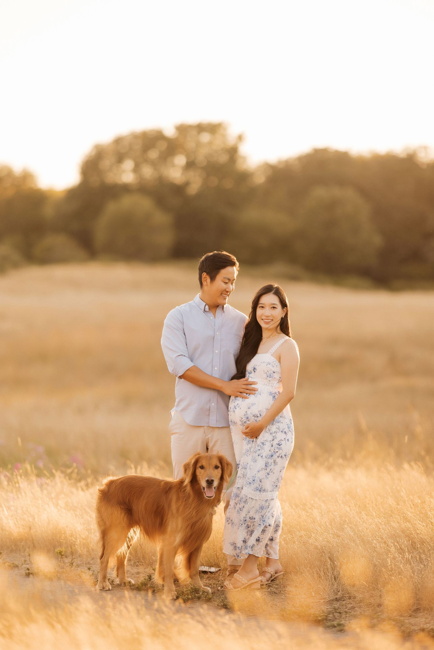 Couple and their golden retriever pose together in sun-drenched field during maternity photoshoot.