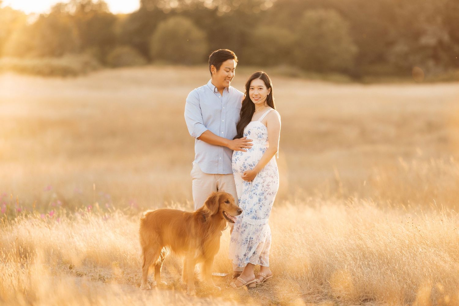 A couple and their dog pose together in a golden sunlit field at sunset.