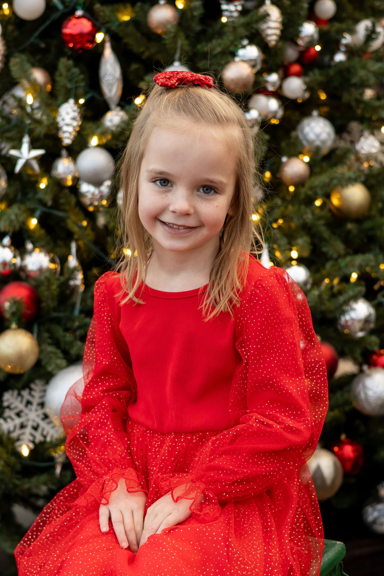 Holiday Mini Photo Session
