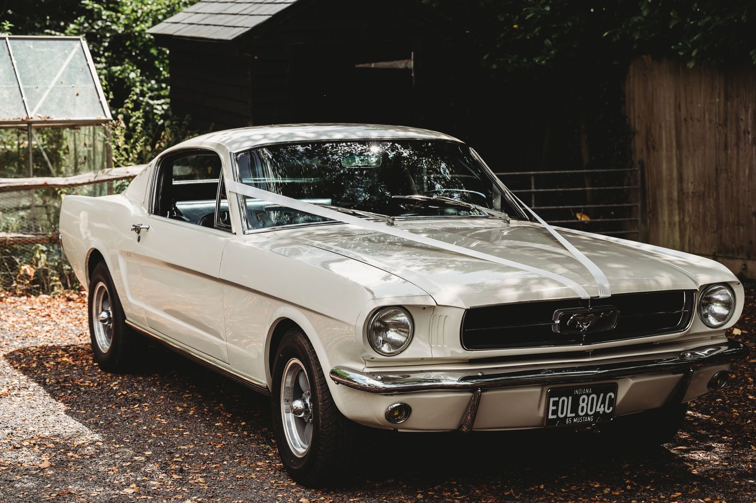 Classic white 1965 Ford Mustang fastback parked on gravel driveway near wooden barn with greenhouse visible.