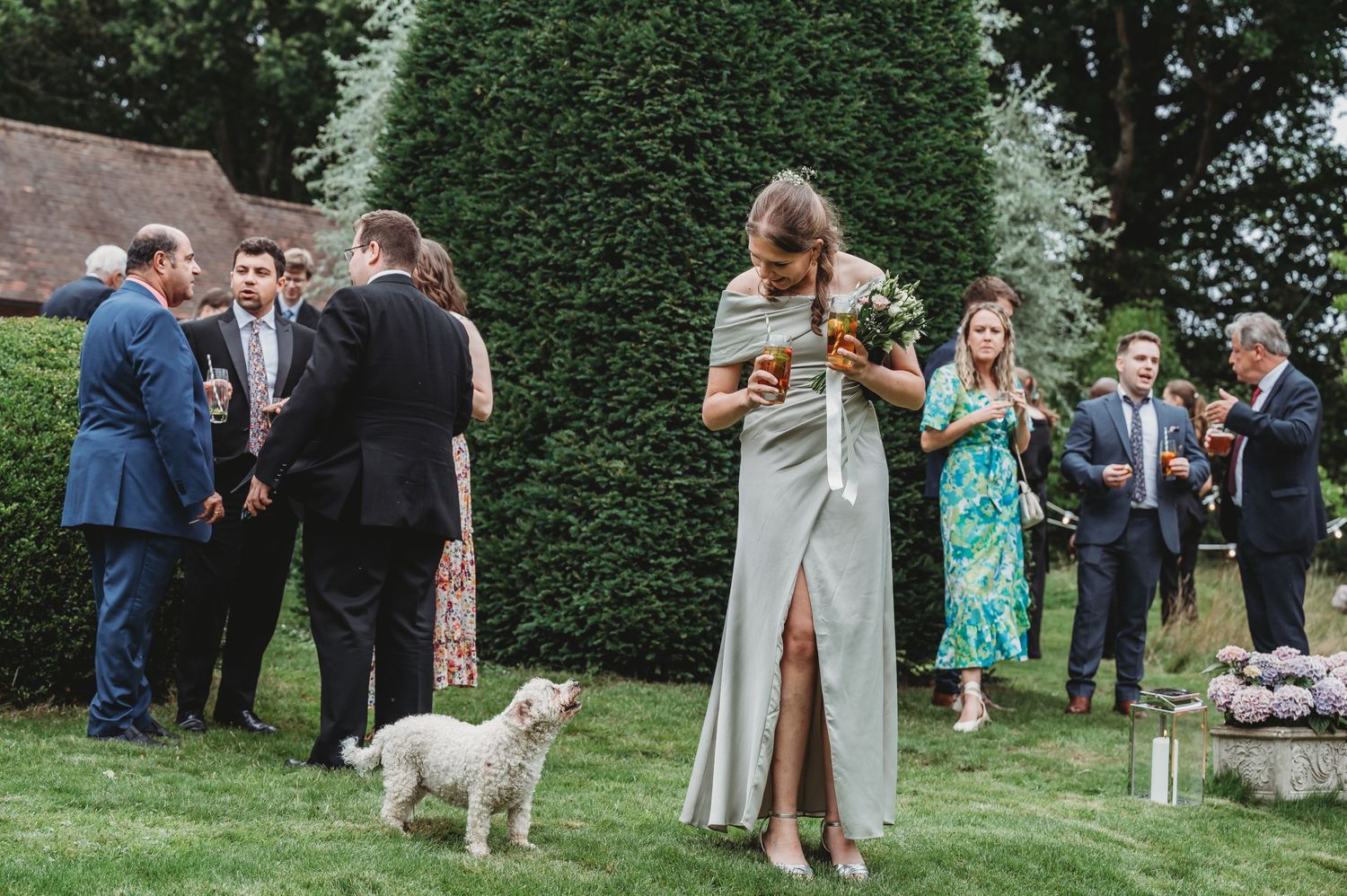 Outdoor wedding guests mingling on a lawn with a small white dog while a woman in gray checks her phone near hedges.