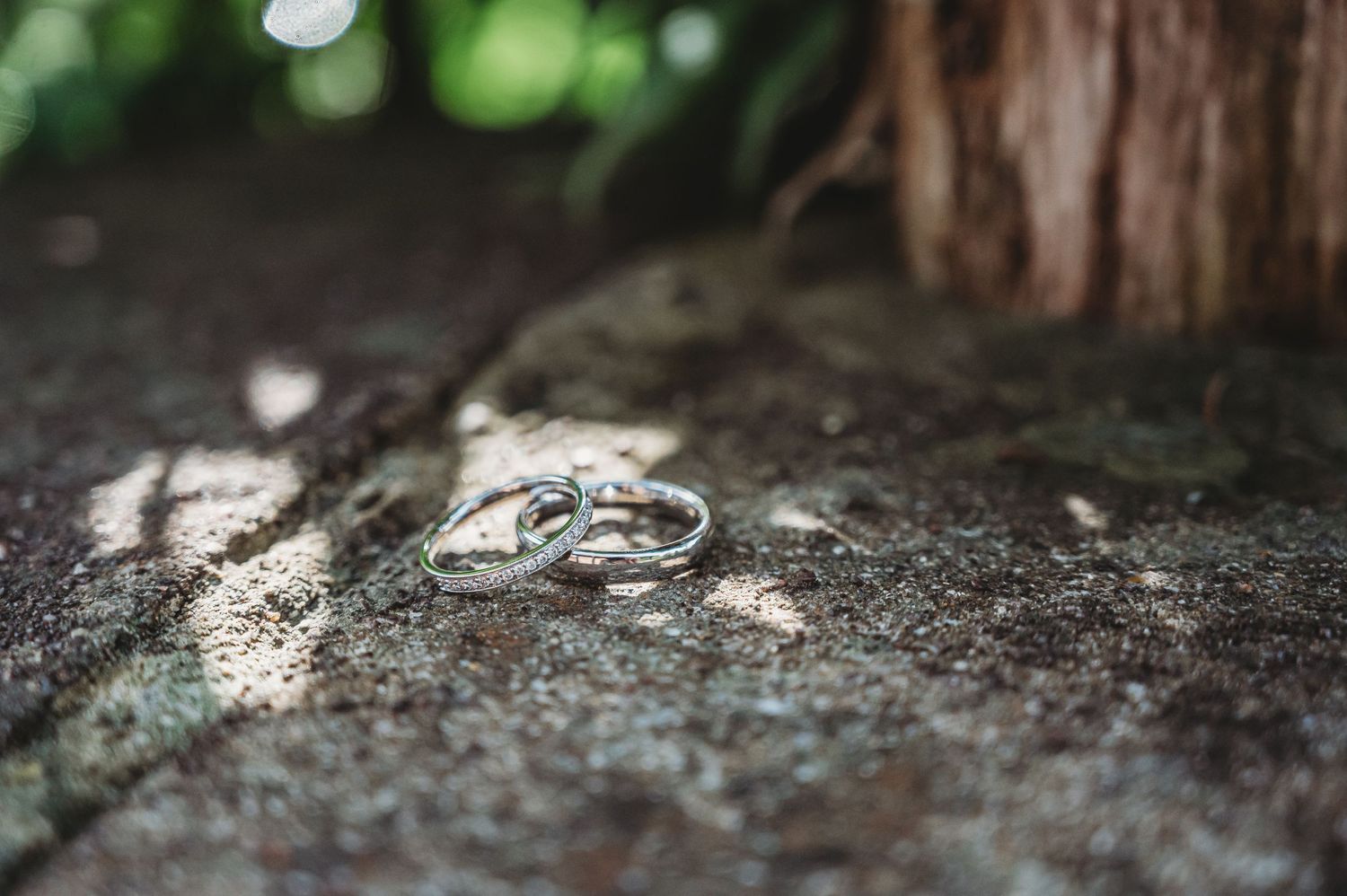 Two gold wedding rings nestled together on a rustic textured surface with dappled sunlight filtering through trees.