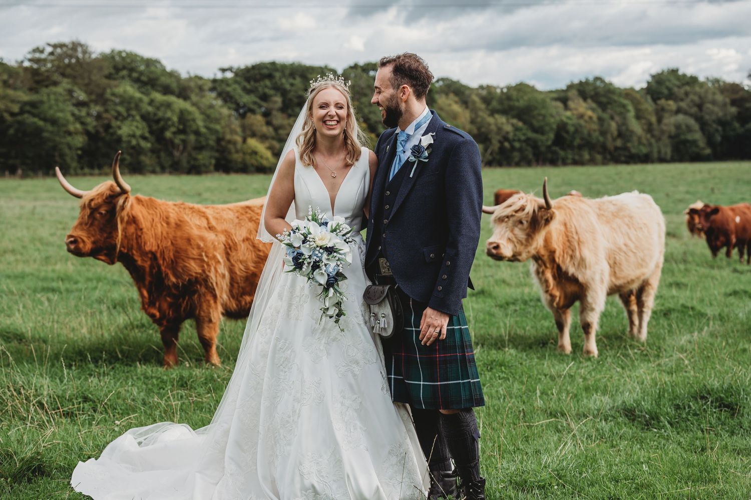 Scottish wedding couple in traditional dress pose in green field with Highland cattle grazing in background.