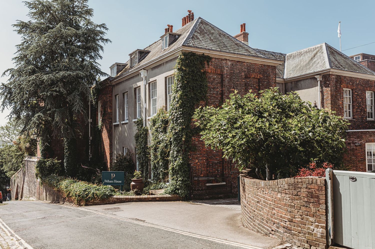 Beautiful brick house with ivy covered walls and tall tree in residential neighborhood.