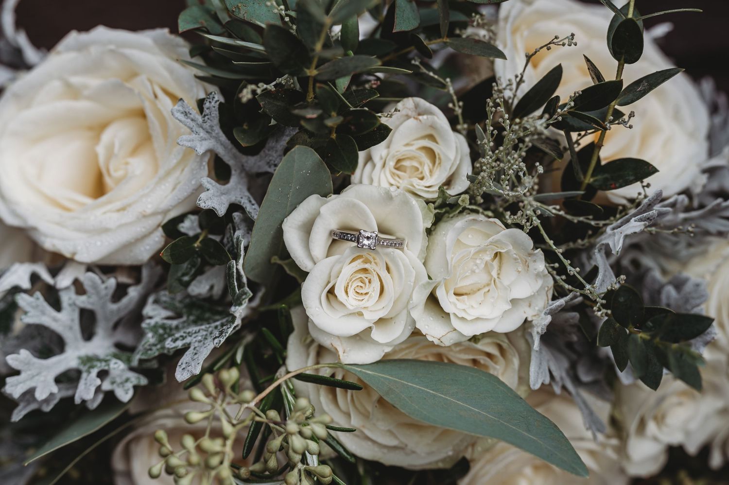Elegant white roses arranged with eucalyptus leaves and dusty miller in soft natural lighting.