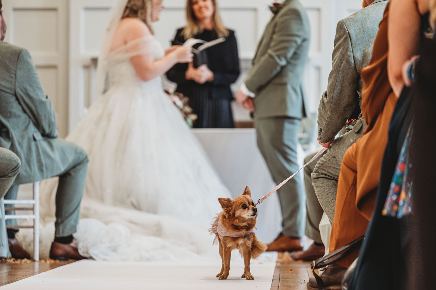 A small brown dog stands in the aisle during a wedding ceremony surrounded by guests in formal attire.