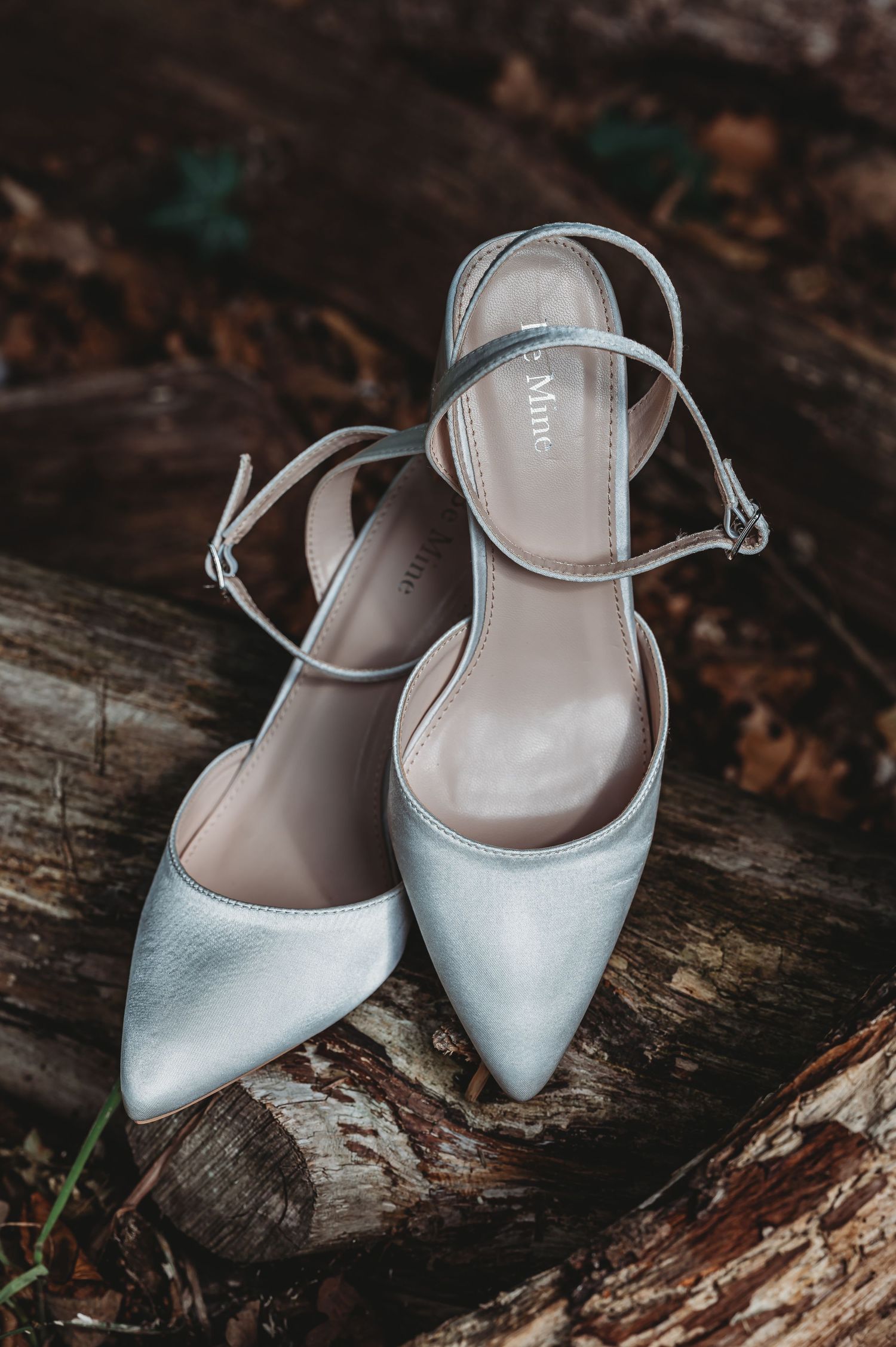 Elegant silver satin ankle-strap flats with pointed toes resting on rustic wooden logs.