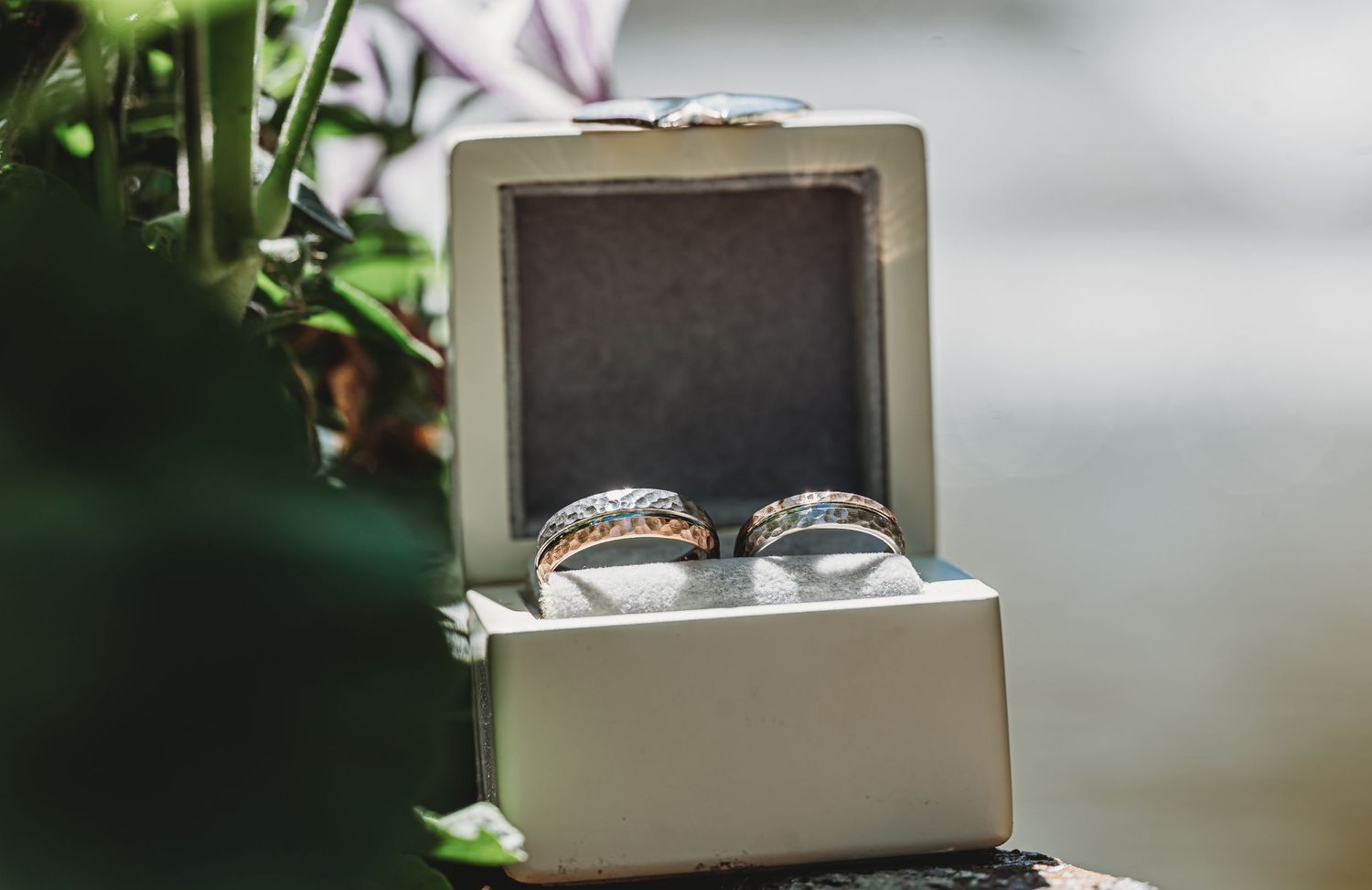 Two wedding rings nestled in a small white box surrounded by green foliage in a soft focus shot.