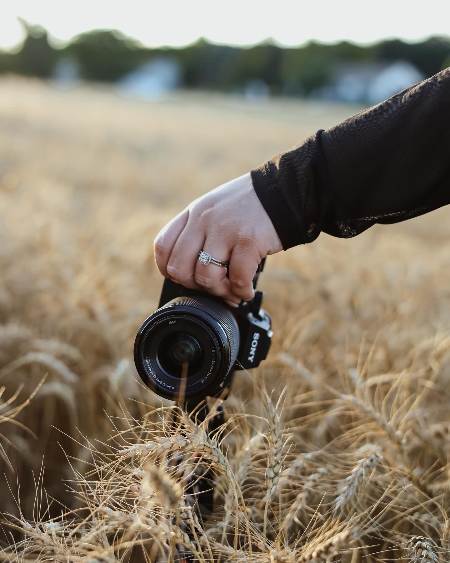 Maternity Photographer Cambridge, Hertfordshire, Essex, Suffolk, London