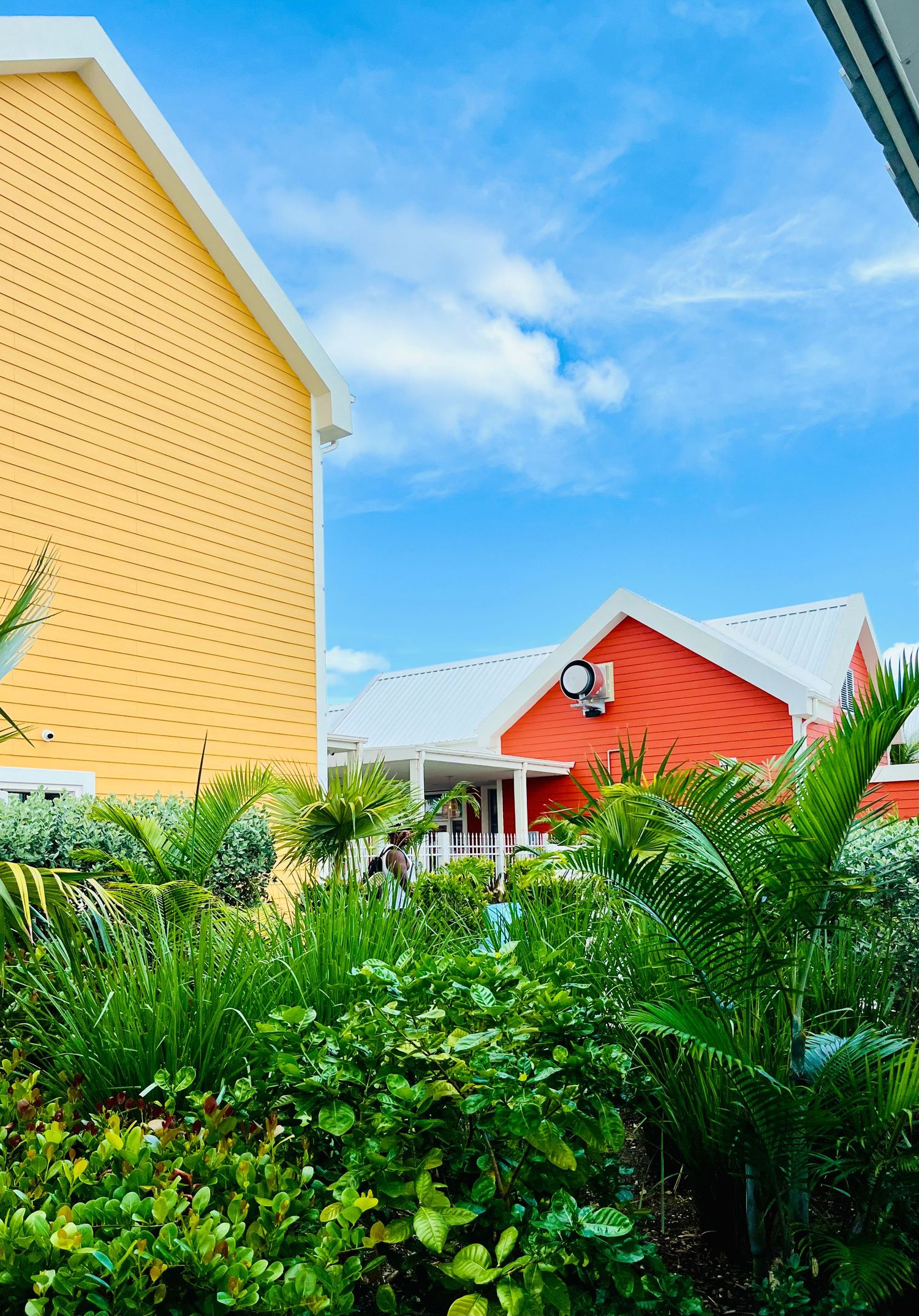 bahamas