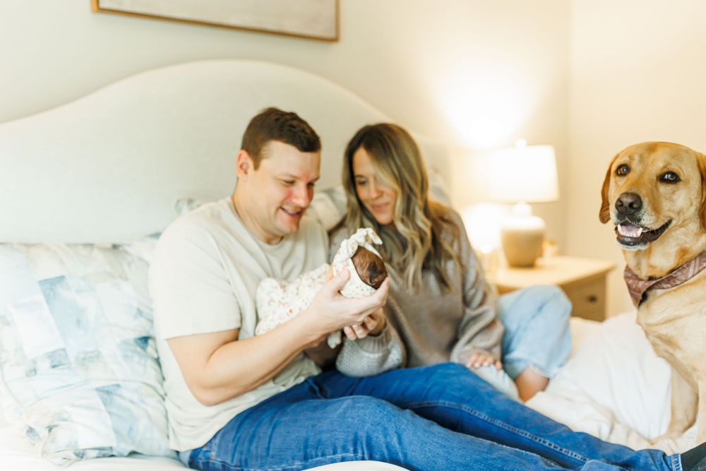 A happy couple relaxes at home on a couch with their beagle dog in a bright, modern living space.