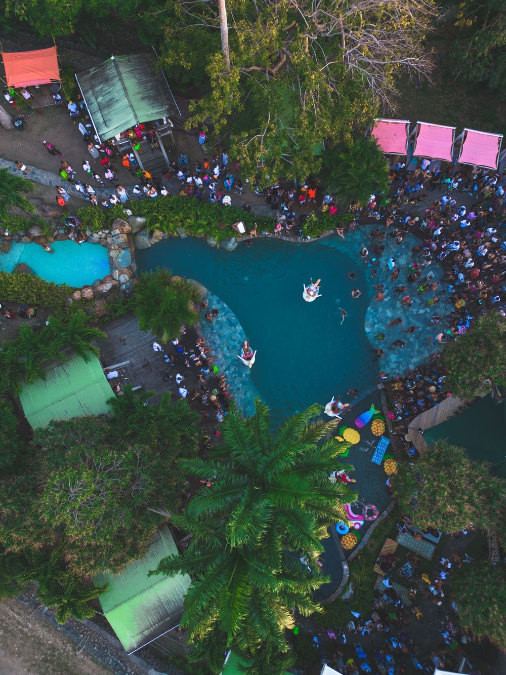 Aerial view of a crowded outdoor pool party with vibrant blue water surrounded by palm trees and colorful canopies.