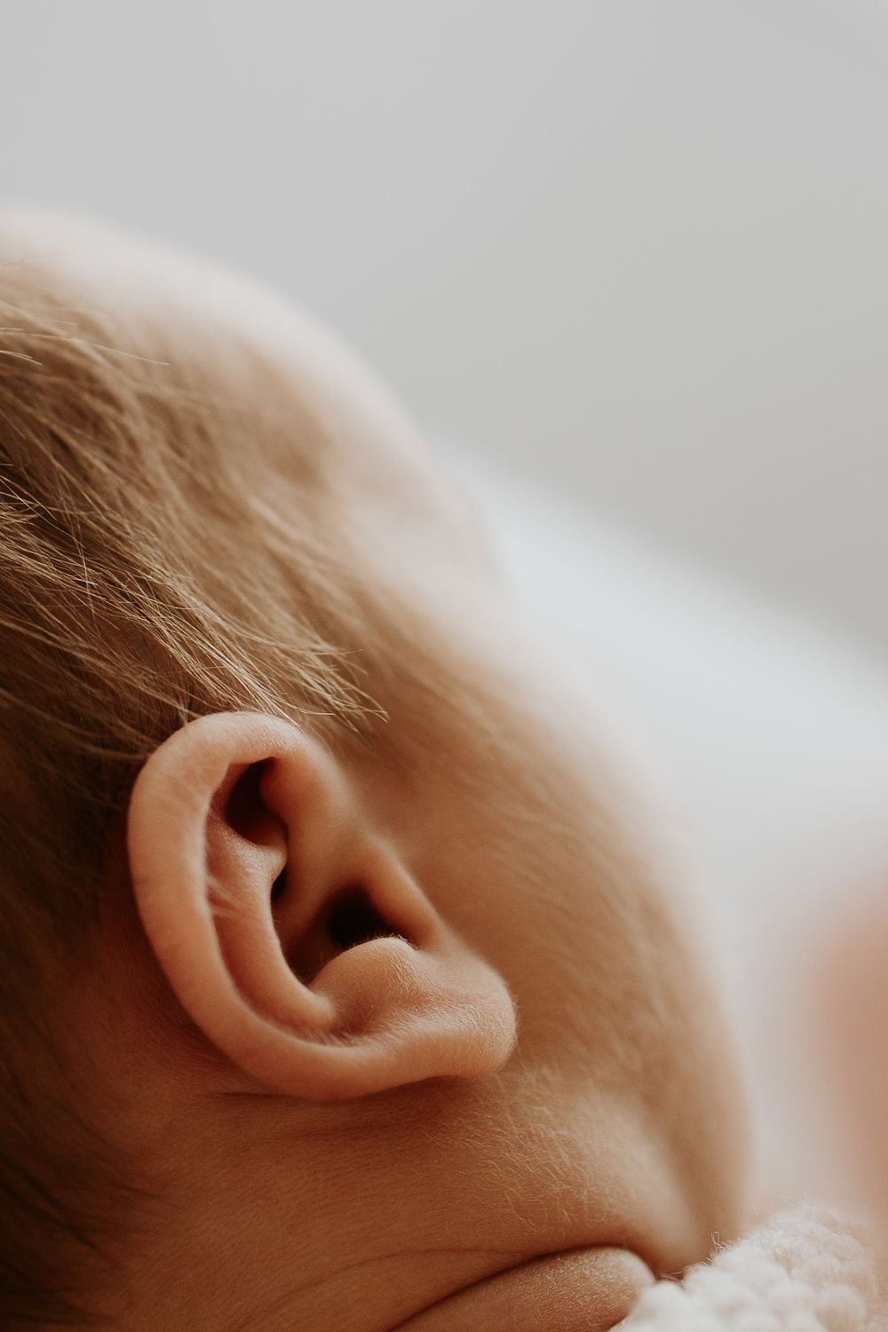 In home newborn photography session in Dunedin