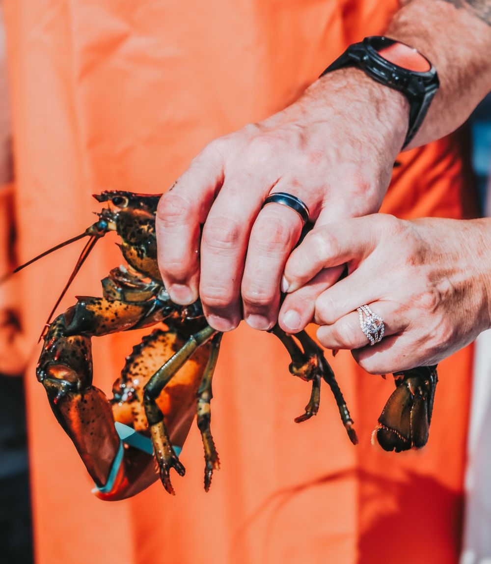 Two newlyweds hold hands wearing their new wedding rings and hold a fresh live lobster against a bright orange background.
