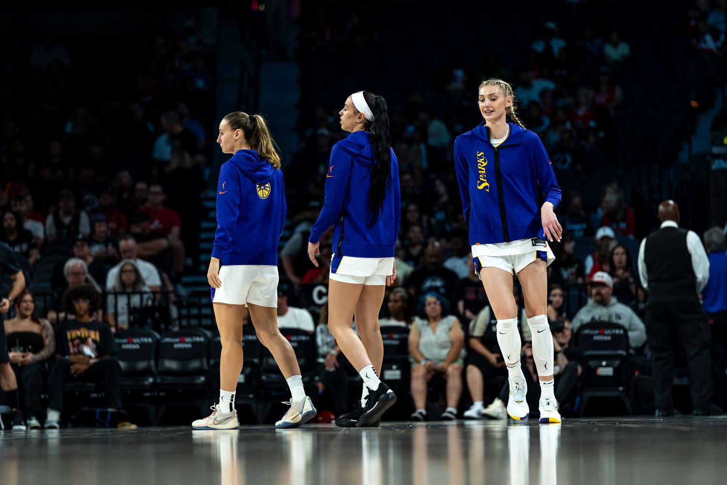 Las Vegas Aces Sports Photographer