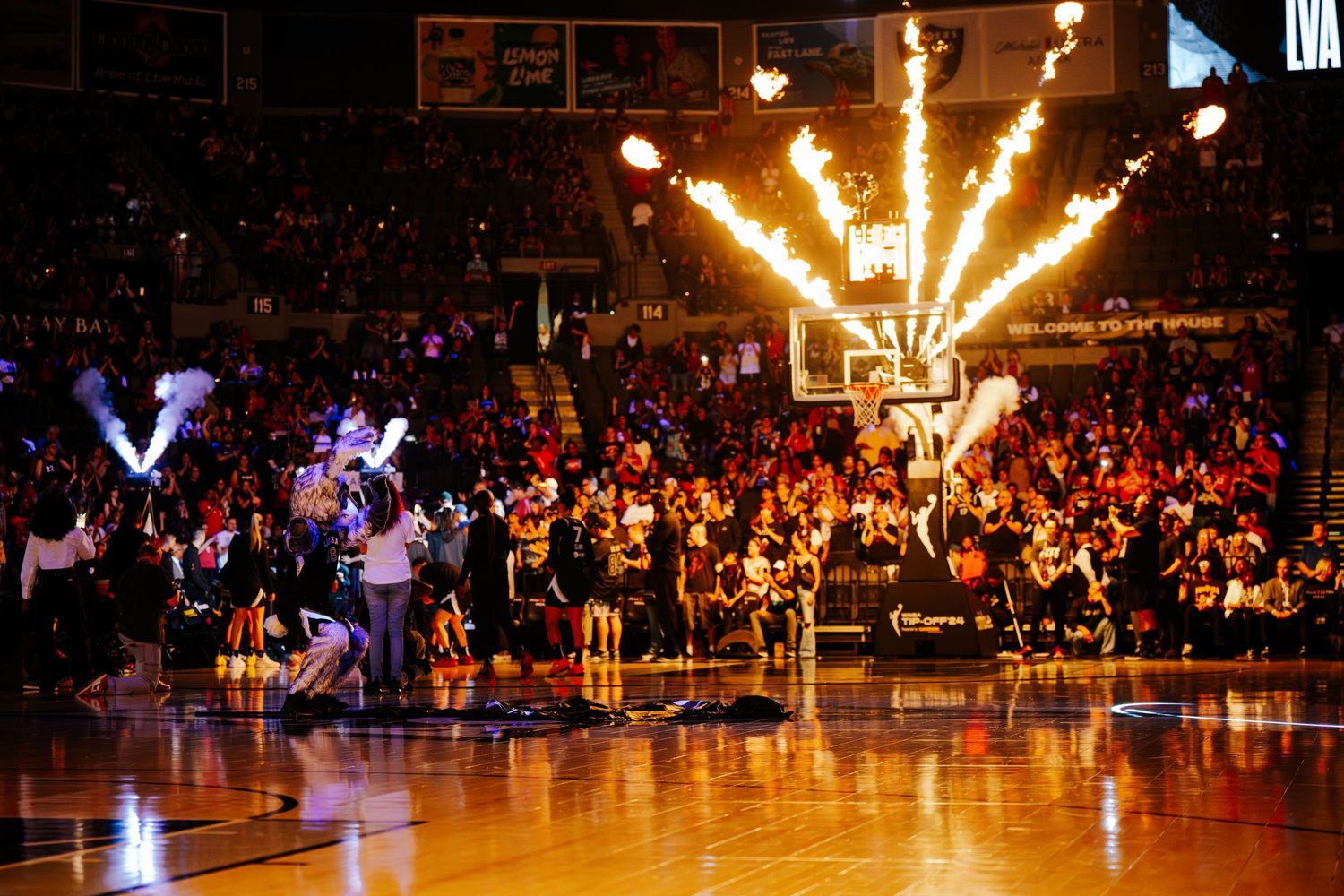 Las Vegas Aces Sports Photographer