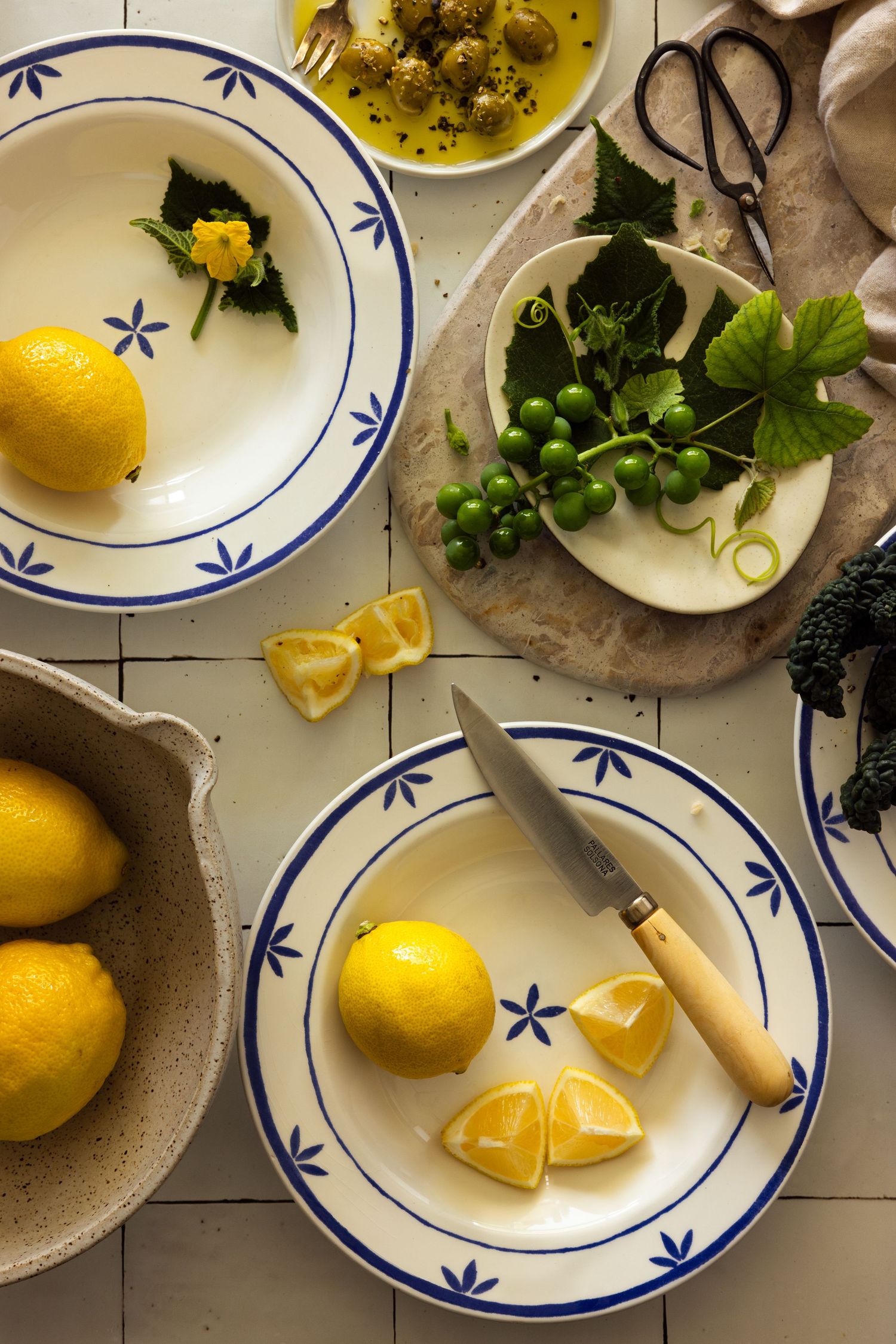 Lemons still life