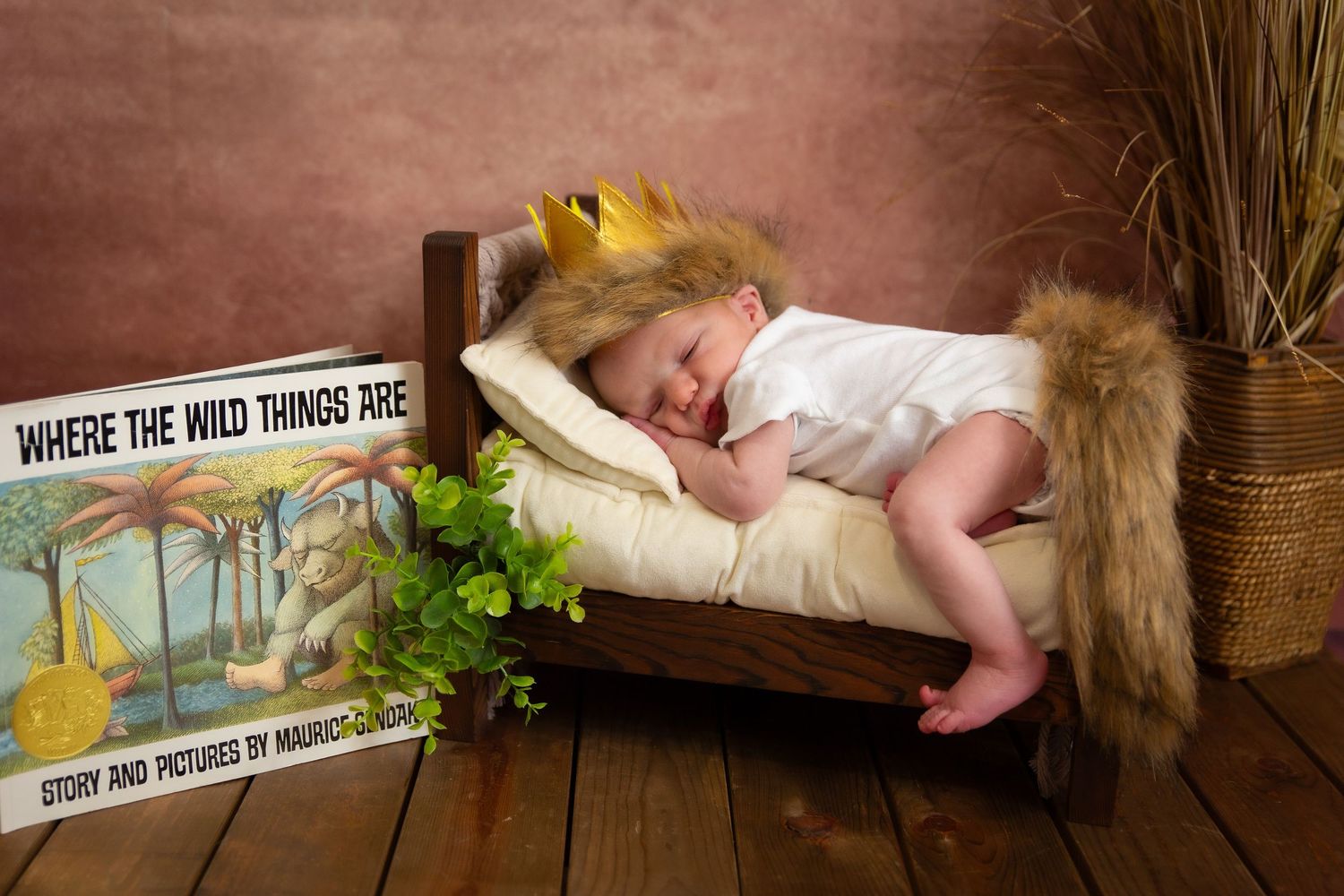 A cozy wooden bed displays a sleeping child with a crown beside 'Where the Wild Things Are' book and natural decor.