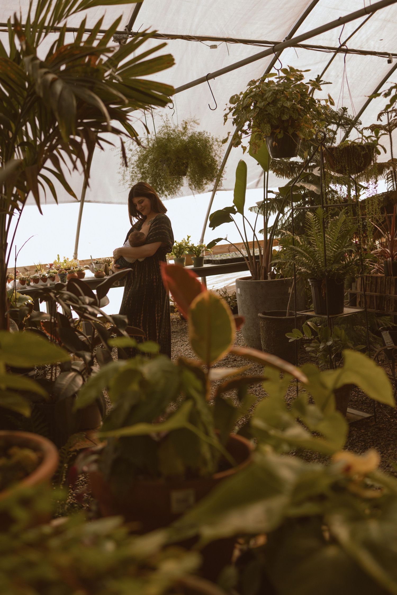 Professional photography in Yuma, AZ
