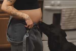in-home maternity announcement photos in Santa Barbara County