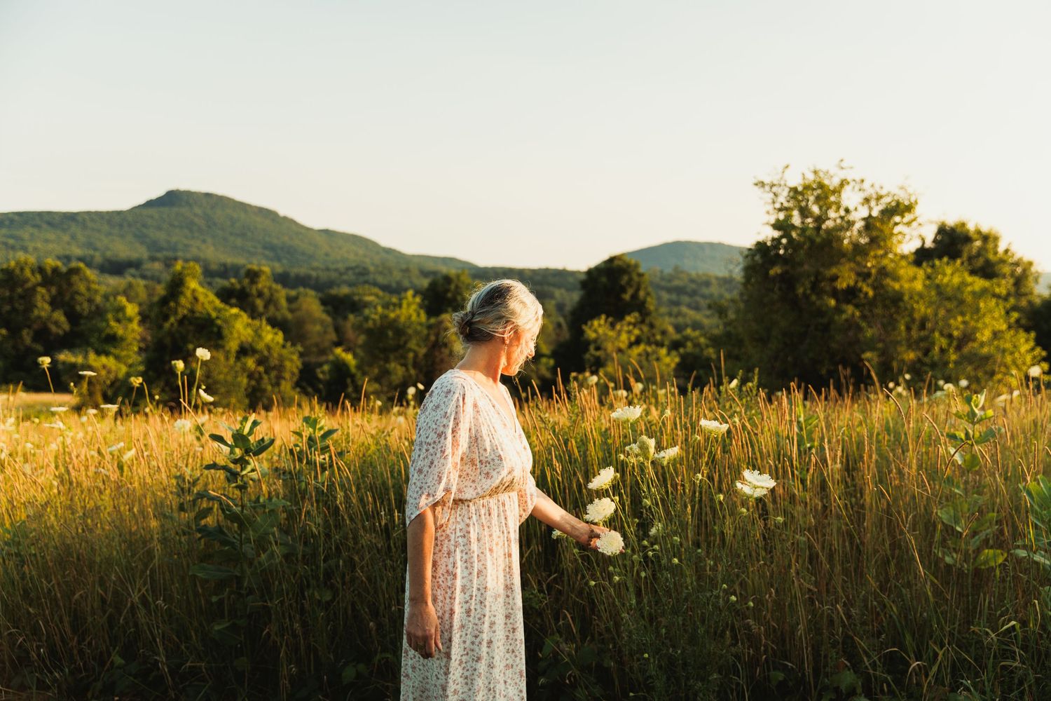 Golden sunlit field with mountains in the background during sunset.