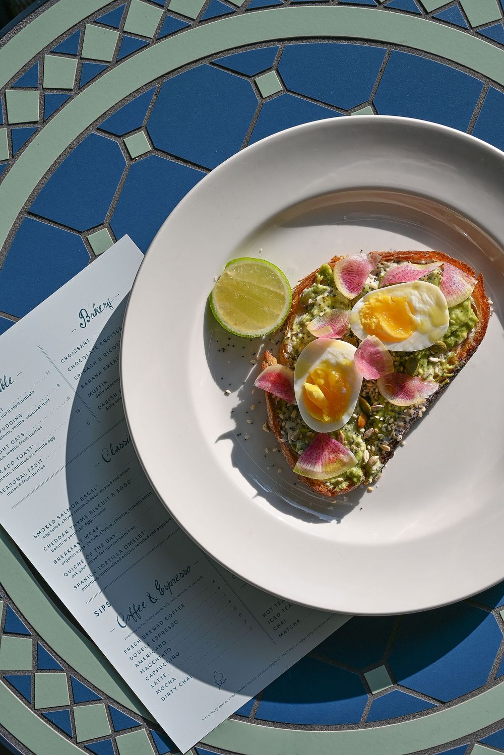 Artfully plated avocado toast garnished with citrus, radish slices and microgreens on a white plate.