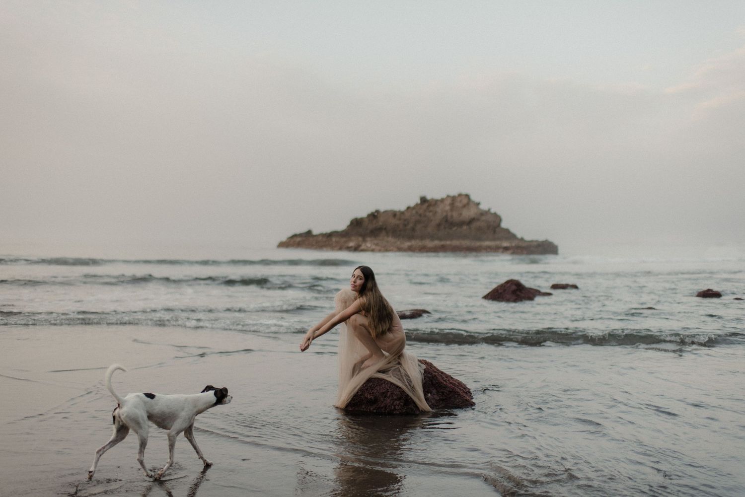 Dogs run playfully along a misty beach with rock formations in the distance.