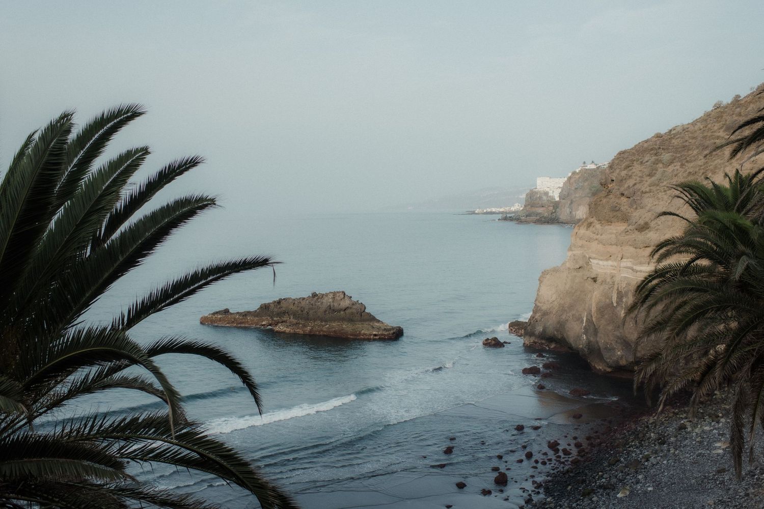 Coastal cliffs and rock formations along a misty shoreline with palm trees swaying in the ocean breeze.