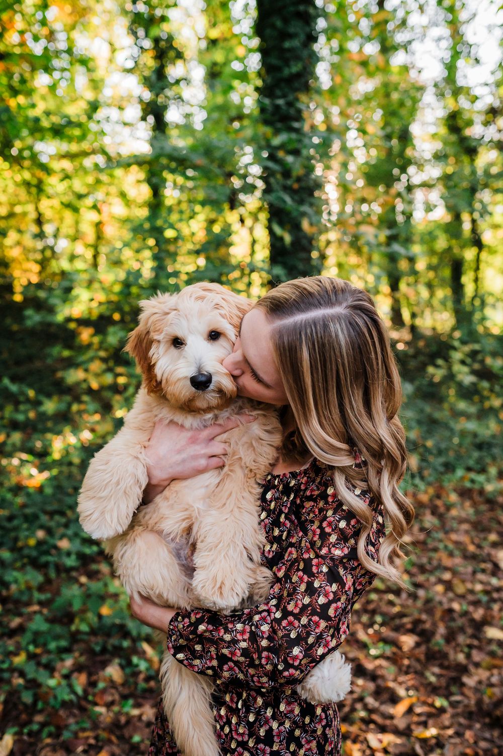 A fluffy goldendoodle puppy receives affection while being held in a sunlit autumn forest setting.