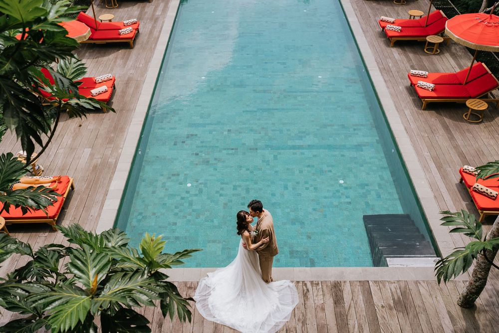 A modern swimming pool with red loungers and tropical landscaping.