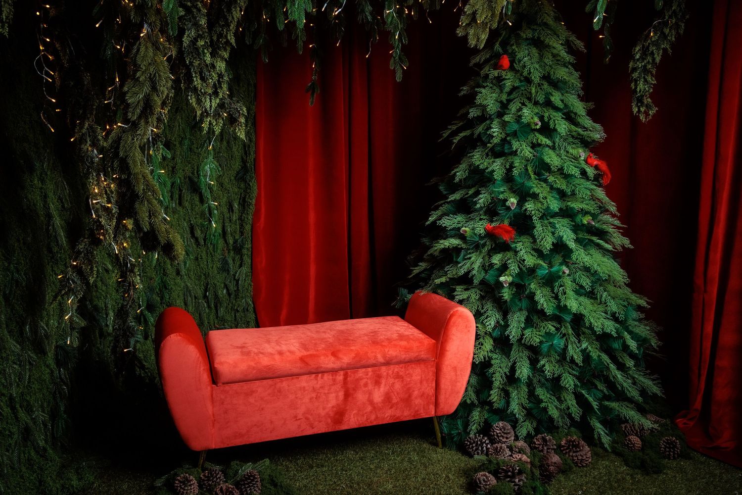Elegant Christmas photography set with illuminated trees and wrapped presents on dark backdrop.