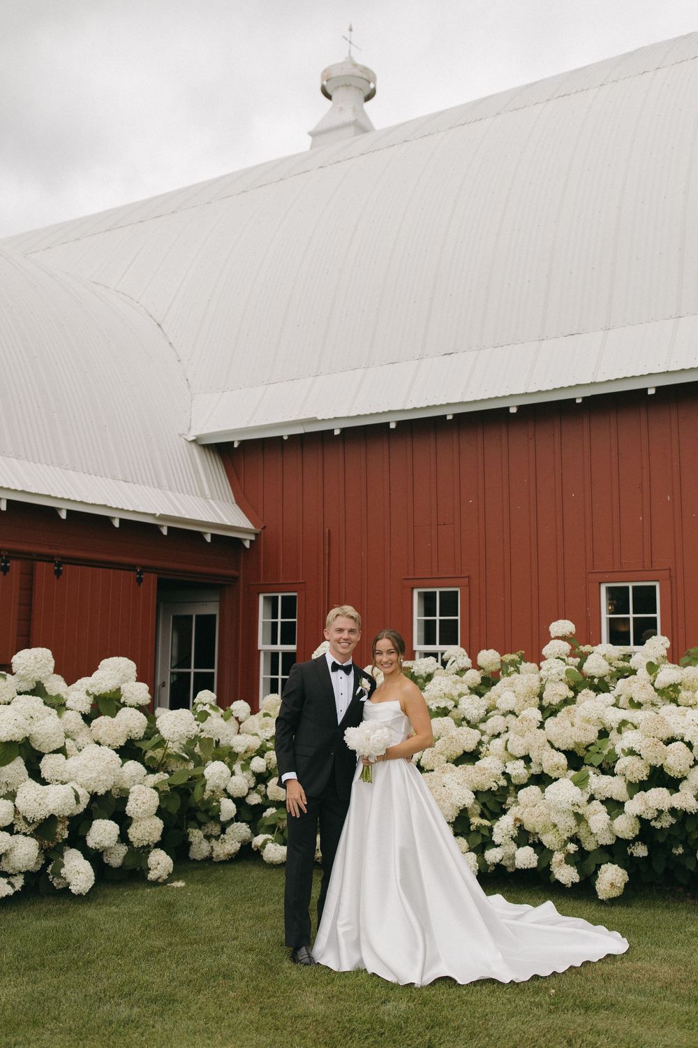 Wedding couple posing in front of a red barn with beautiful white hydrangea bushes.